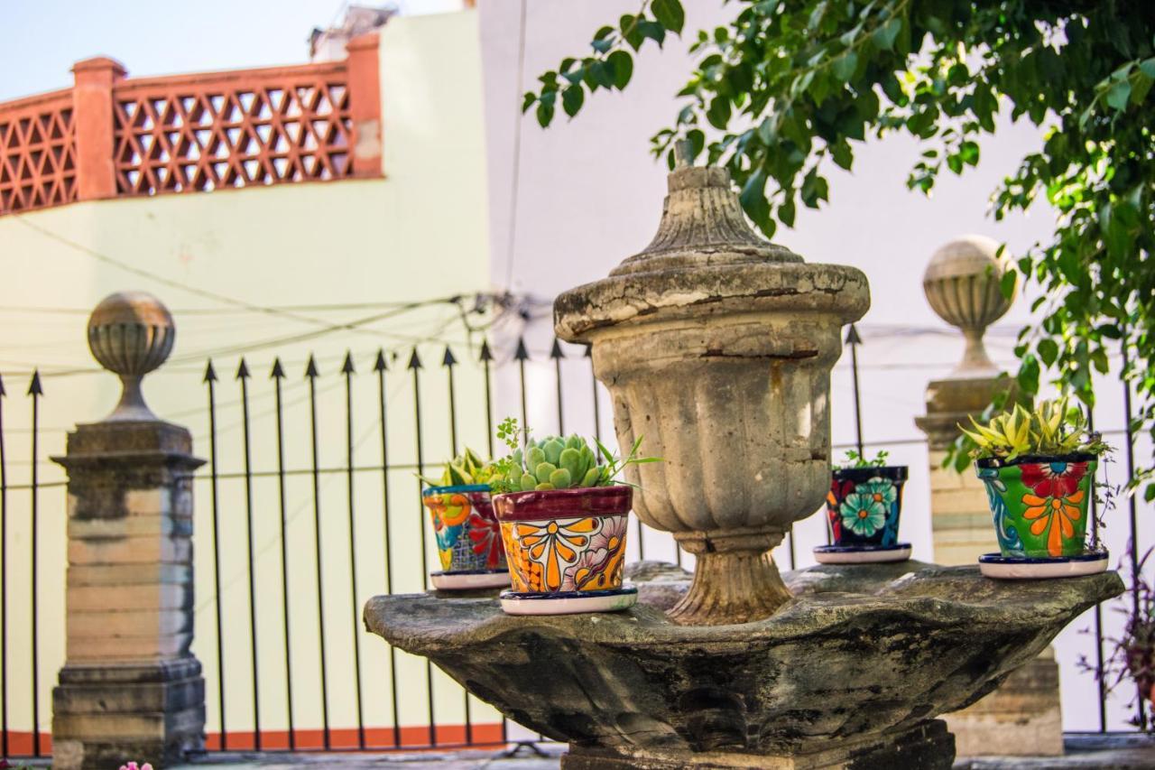 Casa Lupita Hostel