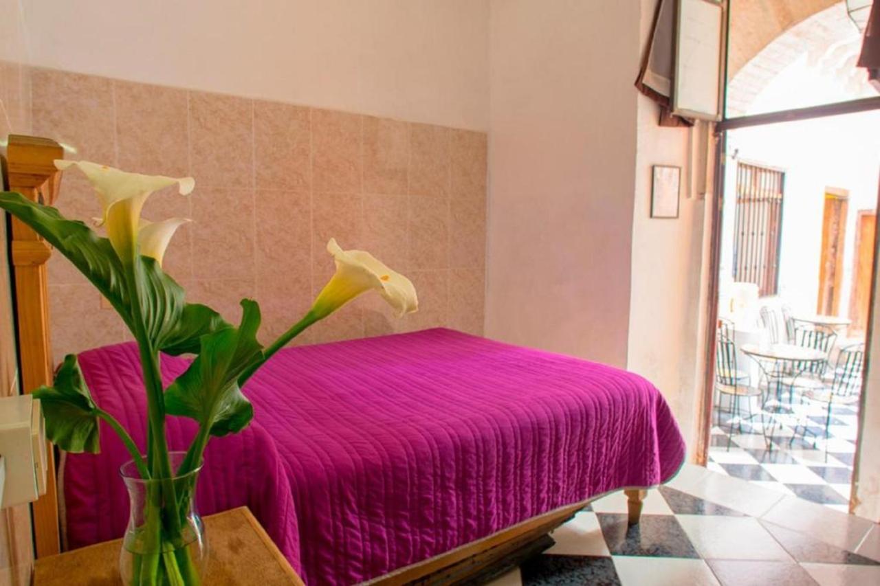 Casa Lupita Hostel Hostel